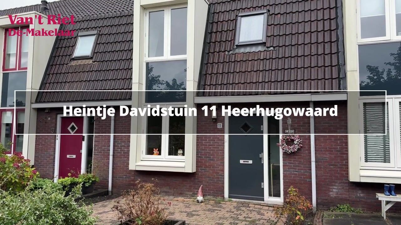 Video van Heintje Davidstuin 11