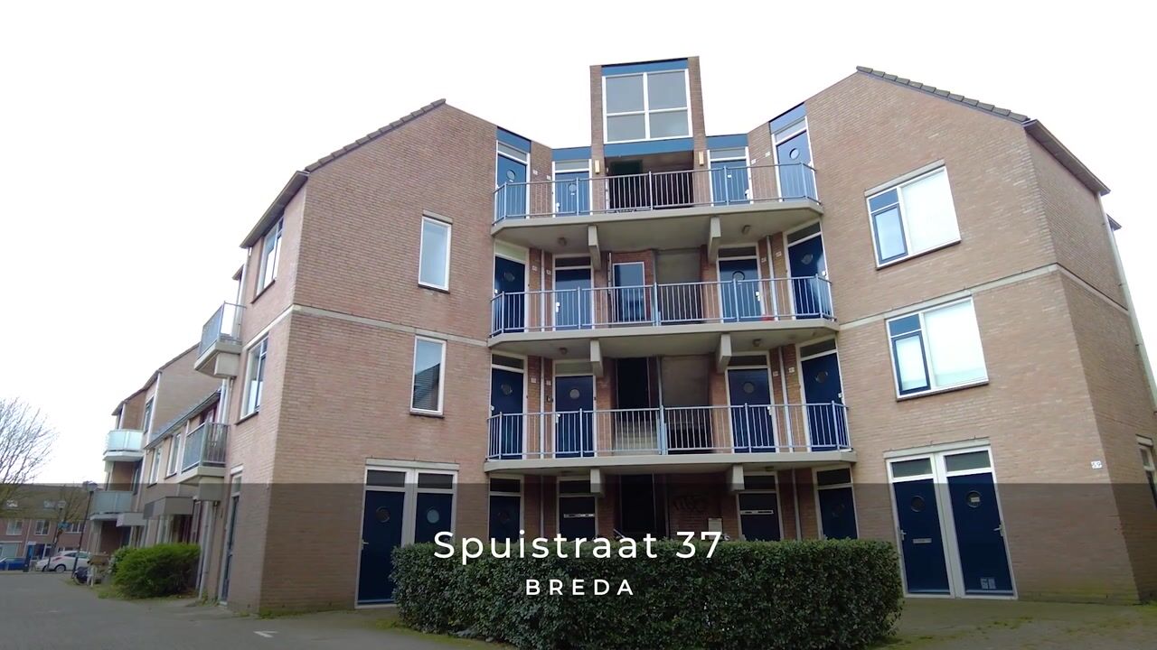 Video of Spuistraat 37