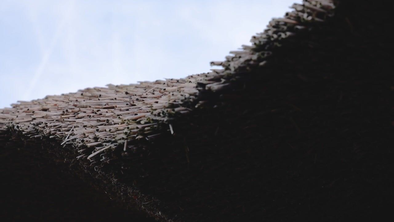 Video van Kerklaan 38