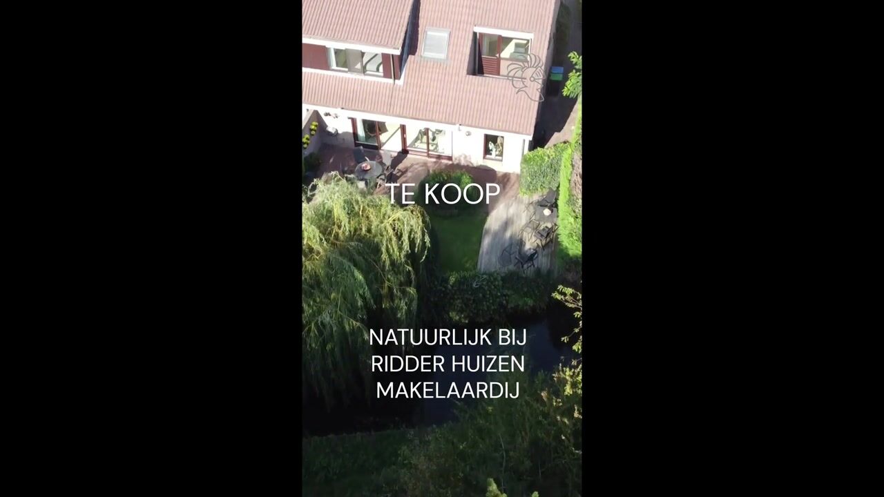 Video van Zalm 54