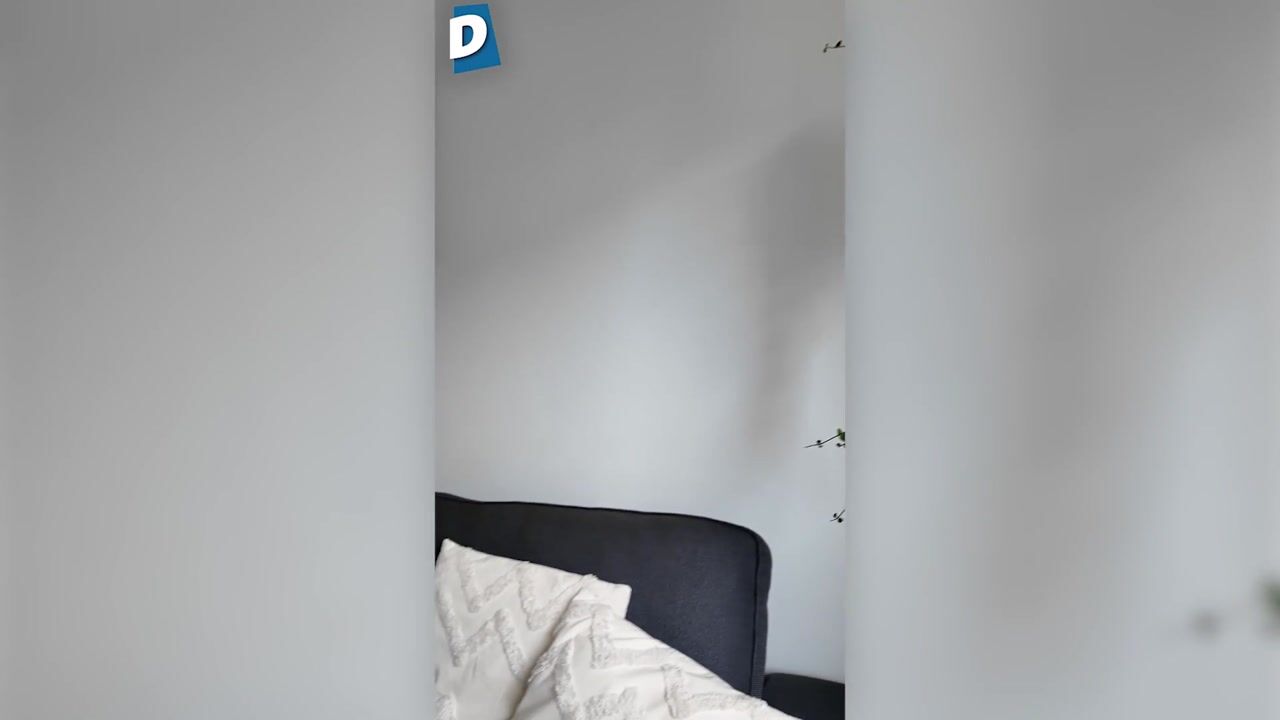 Video of Voergang 85