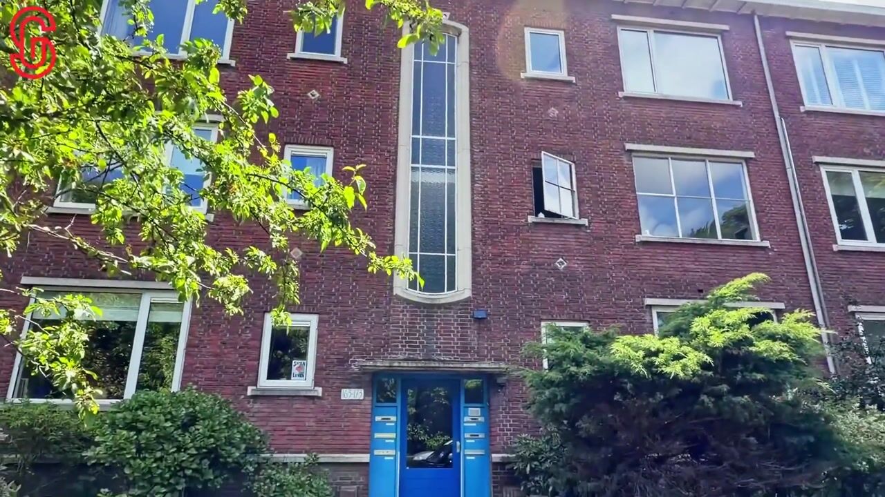 Video van Frans Halskade 169