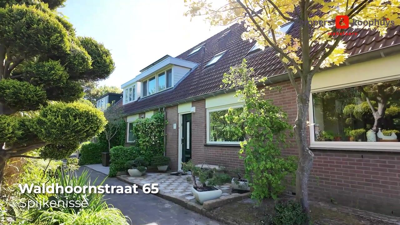 Video van Waldhoornstraat 65