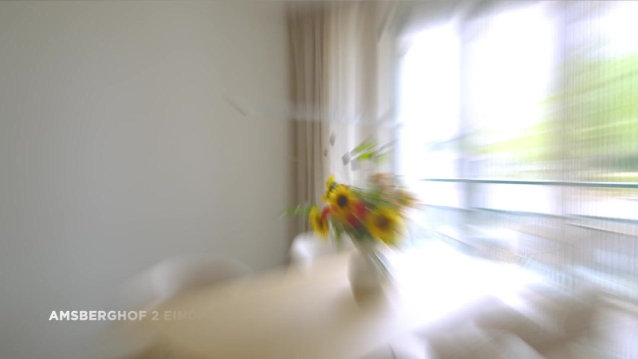 Video of Amsberghof 2