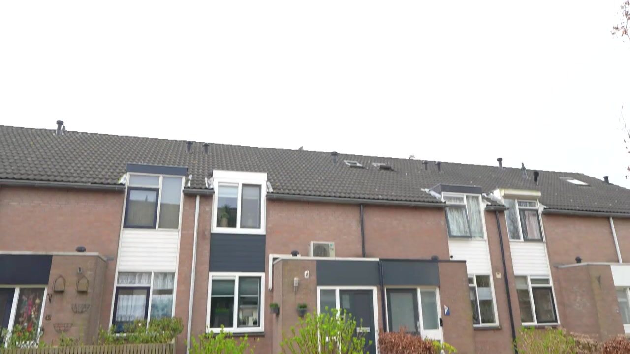 Video van Zilverschoon 34