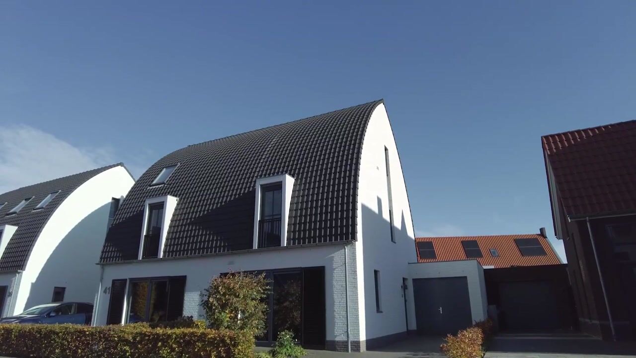 Video van Kleine Vuurvlinder 43