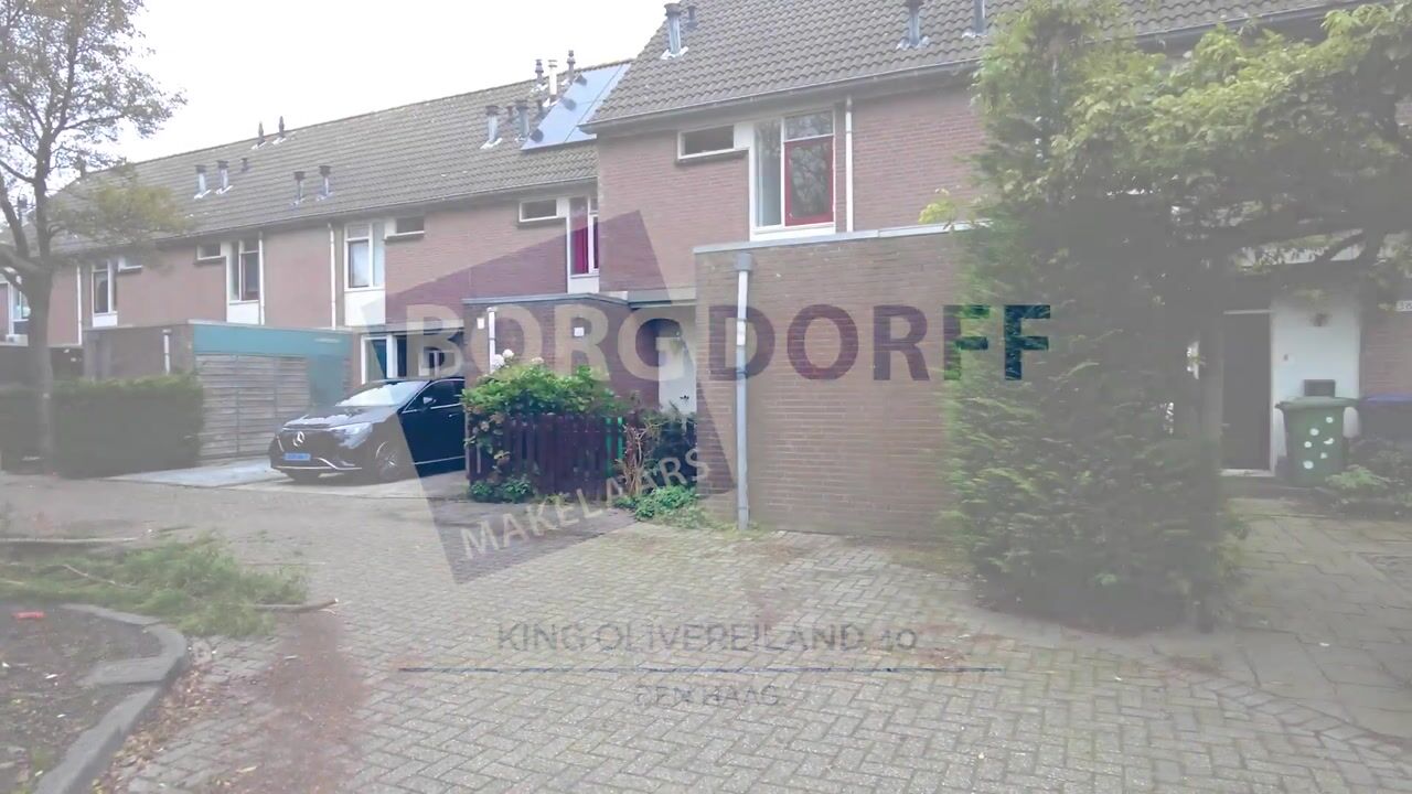 Video van King Olivereiland 40