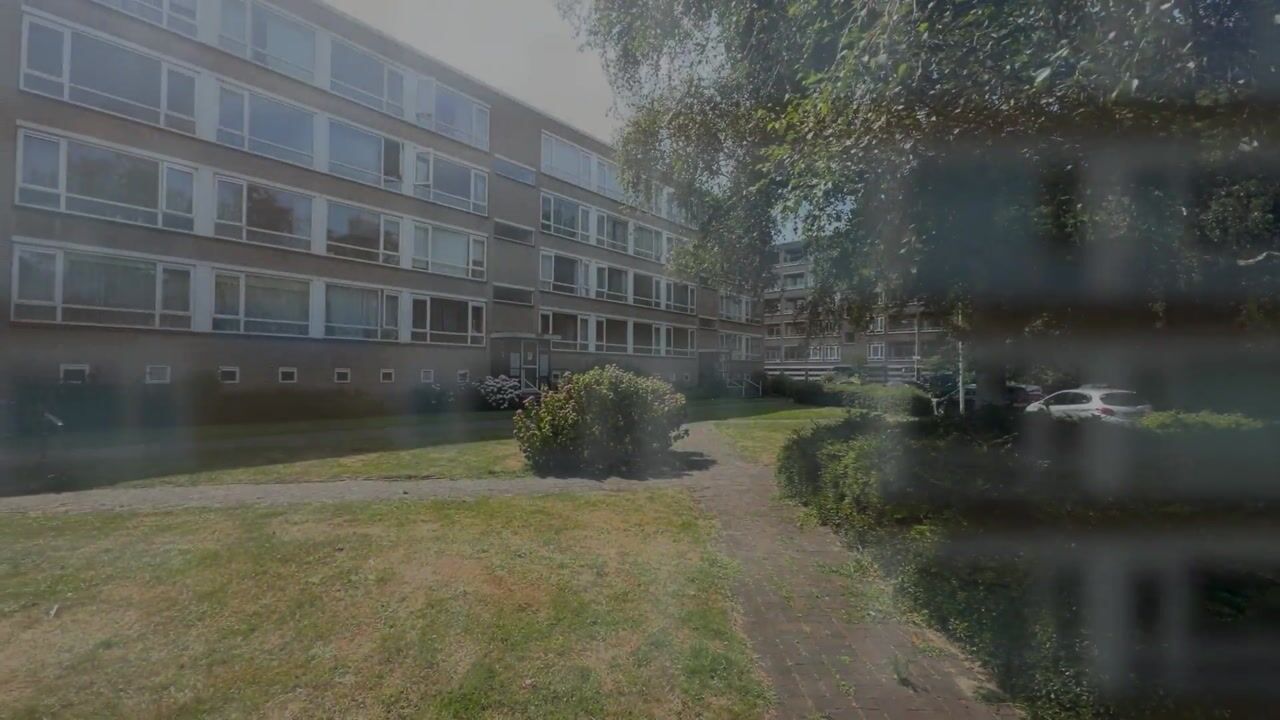 Video van Parelmoerhorst 63