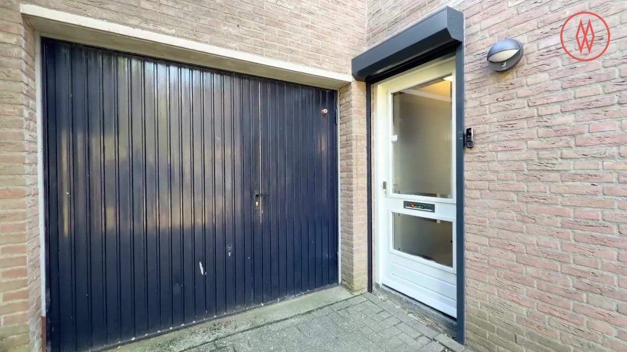 Video of Kleefkruid 1