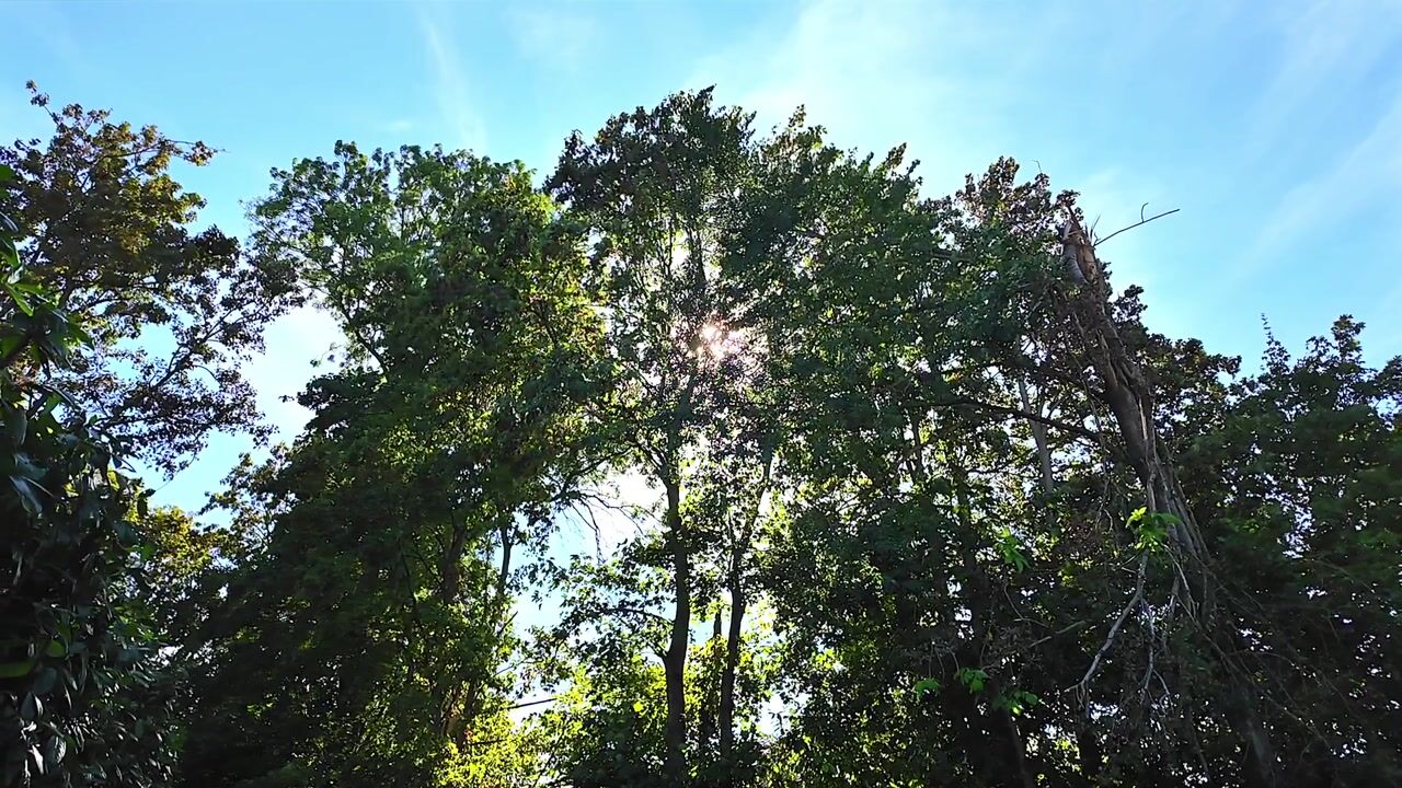 Video van Oosteinde 52