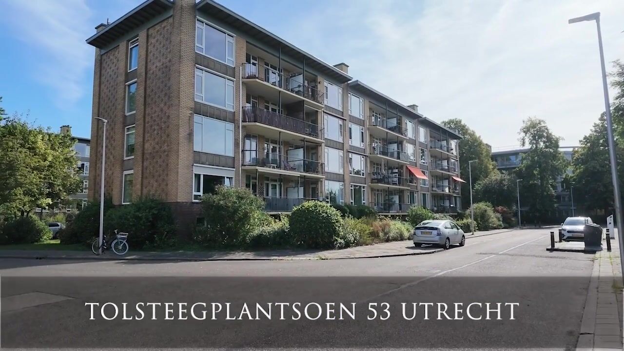Video van Tolsteegplantsoen 53