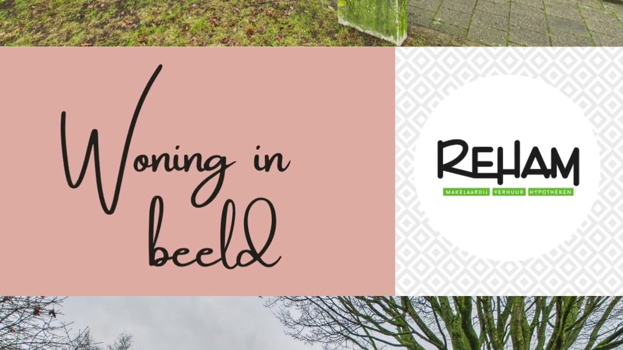 Video van Kamillestraat 37