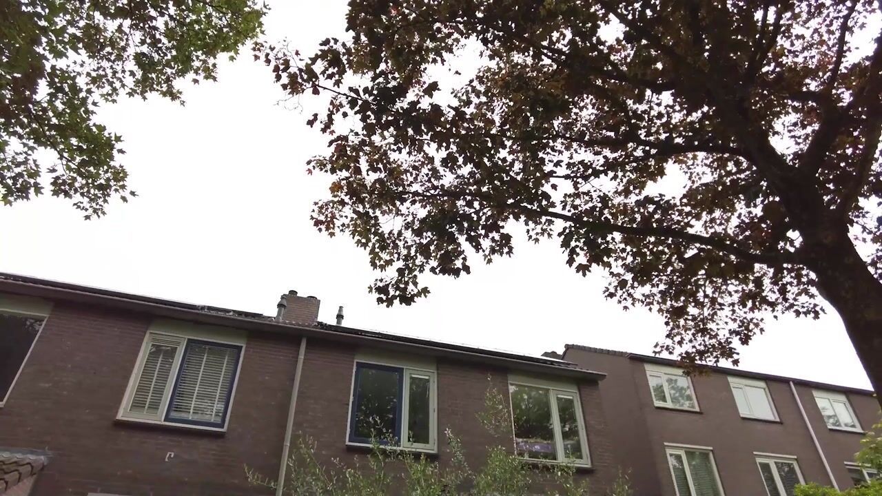 Video van Seldensate 51