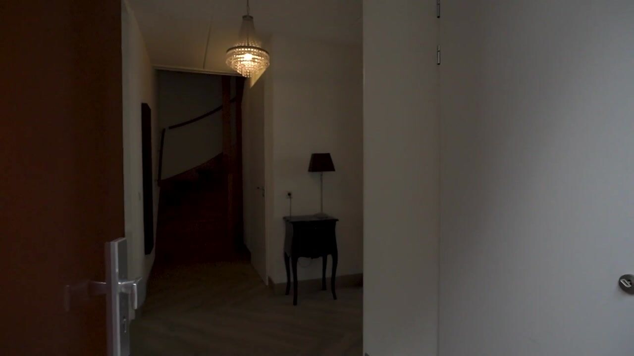 Video van Falkland 31