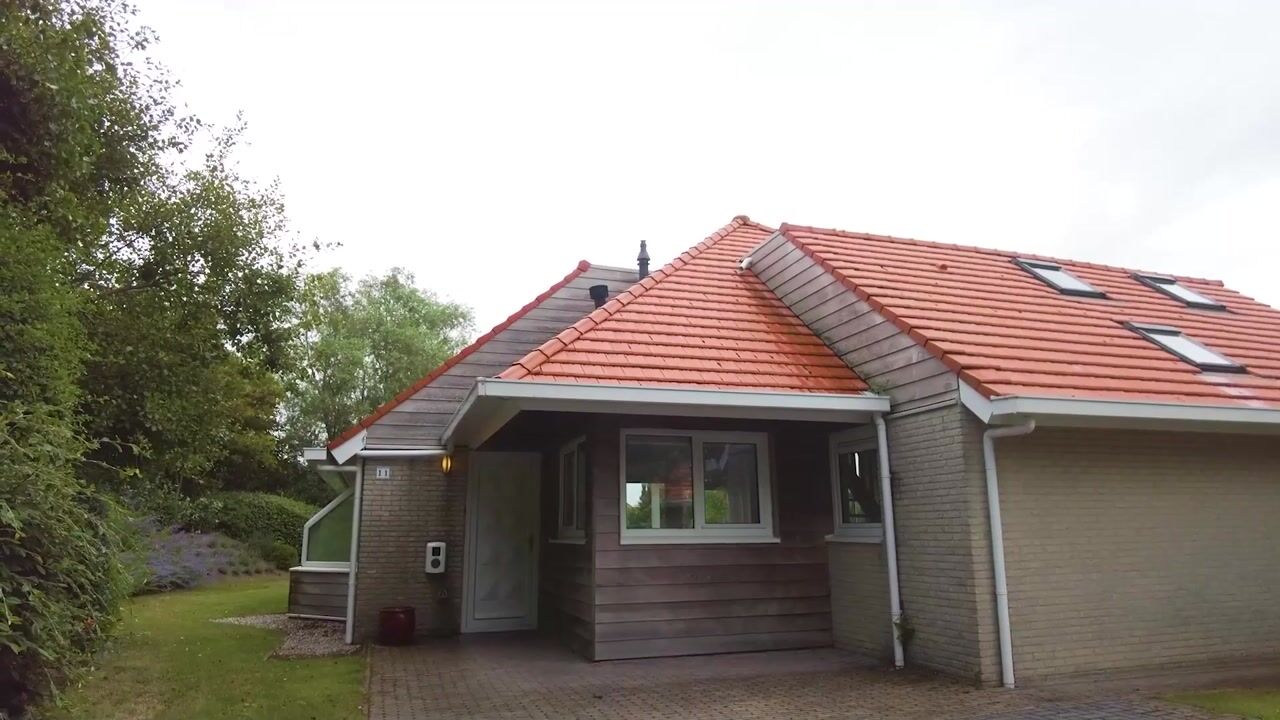 Video of Meerkoet 11