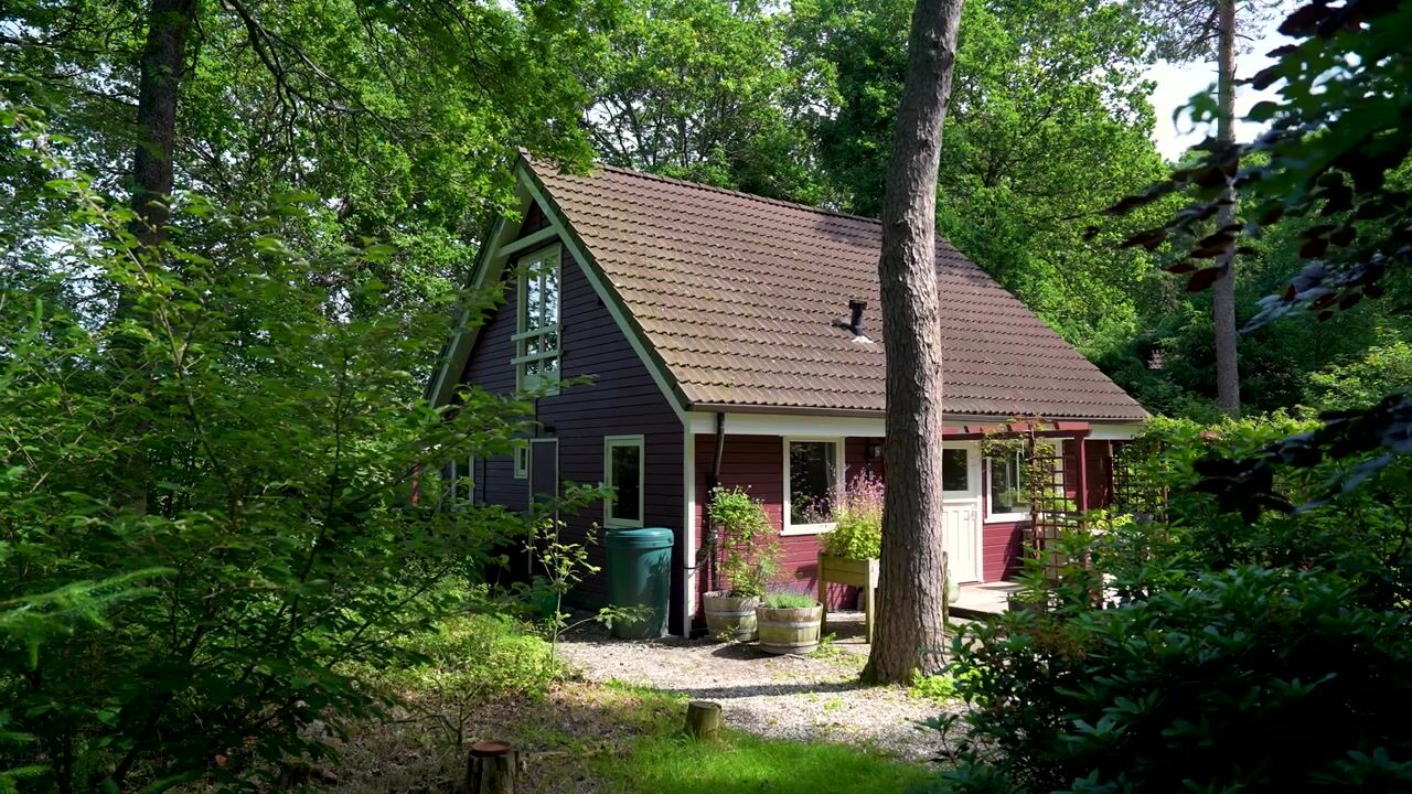 Video van Hanendorperweg 366