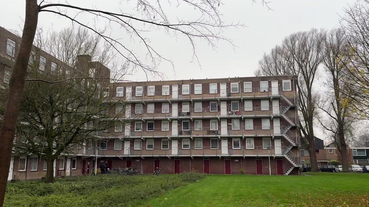 Video of Fluitekruidweg 132