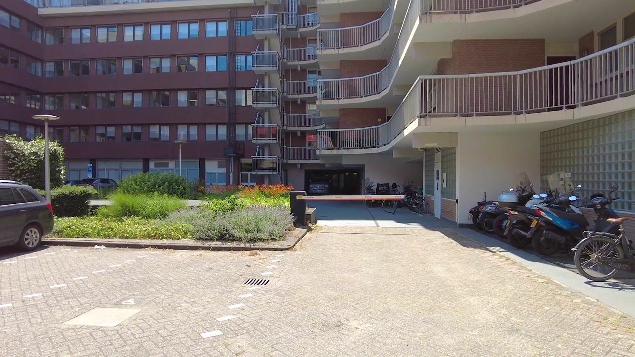 Video of Boslaan 249