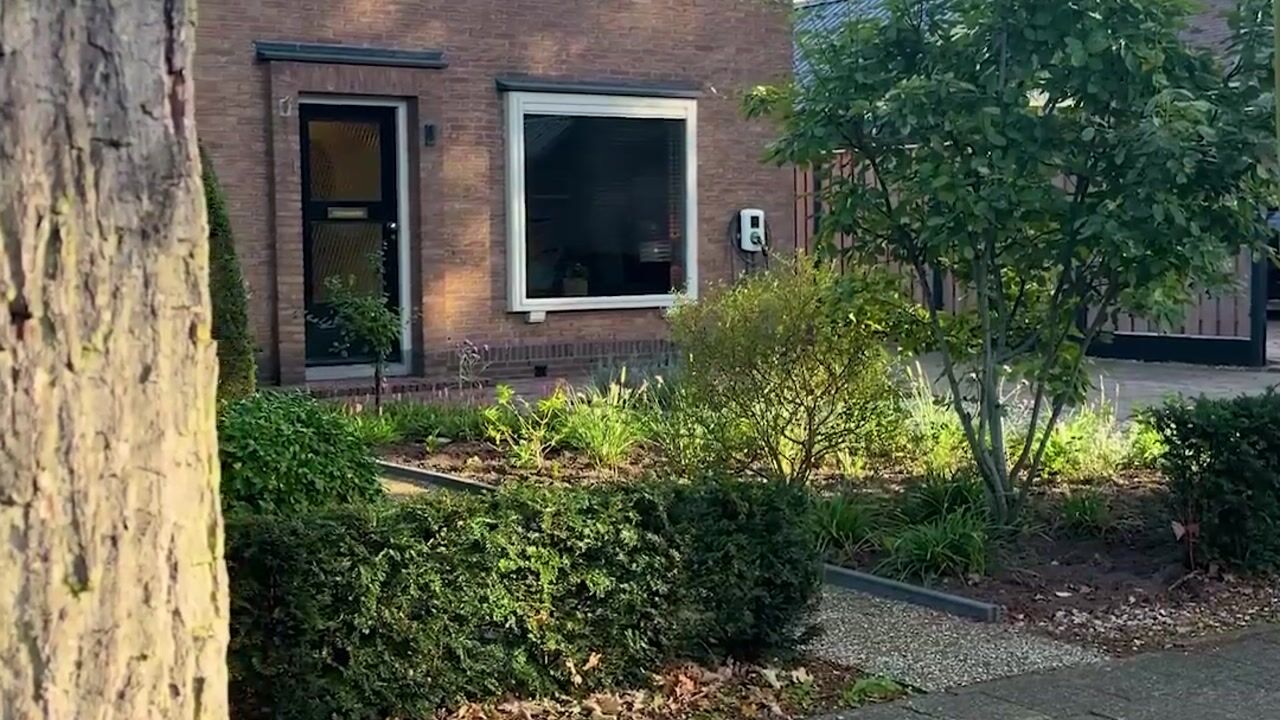 Video van Boslaan 1