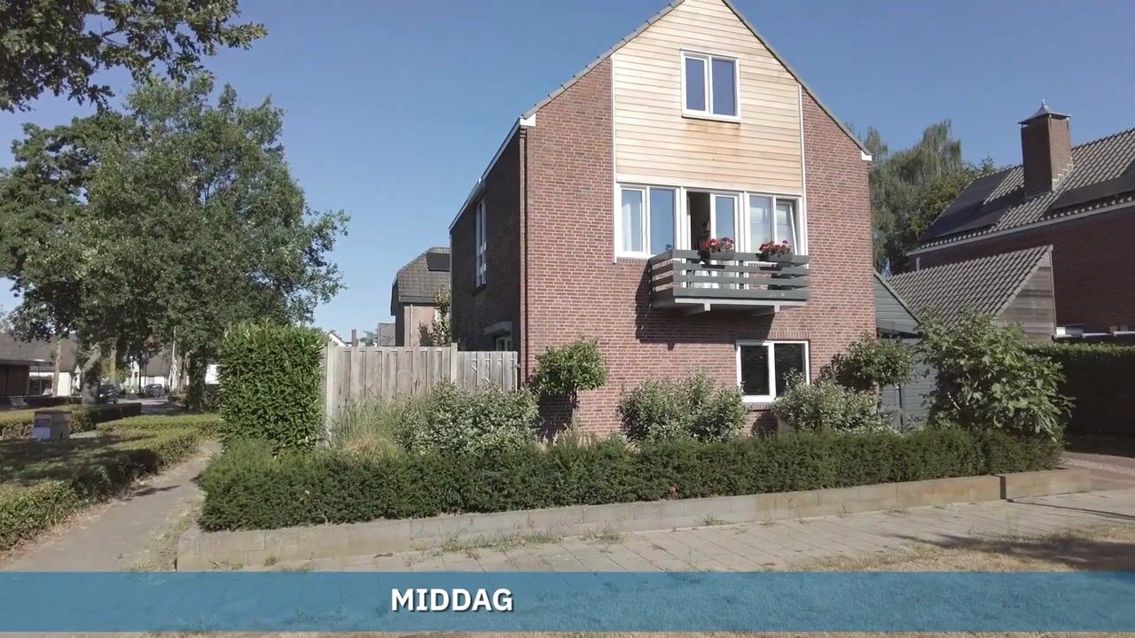 Video van Middag 50