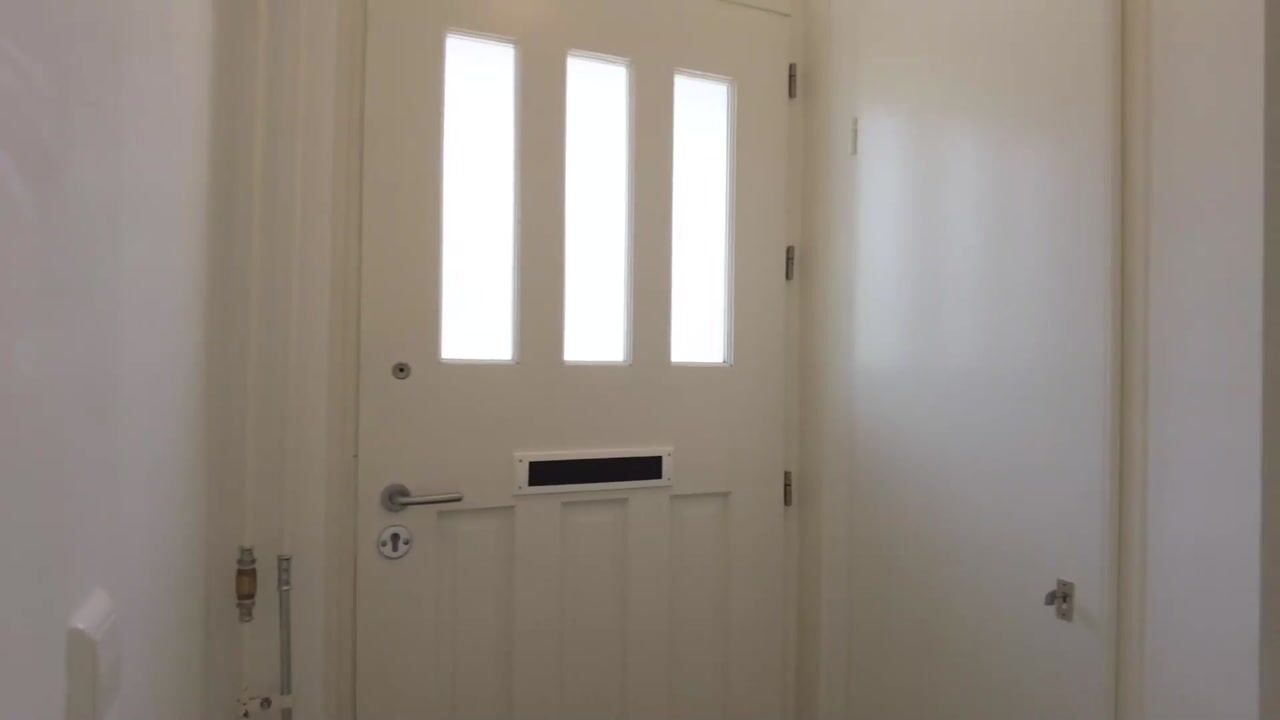 Video van Muurzwaluw 8
