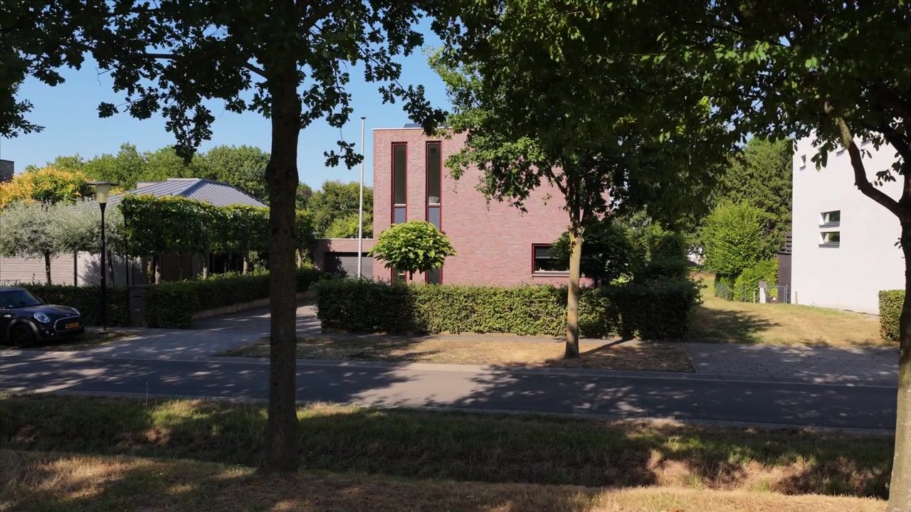 Video van Hoefblad 33