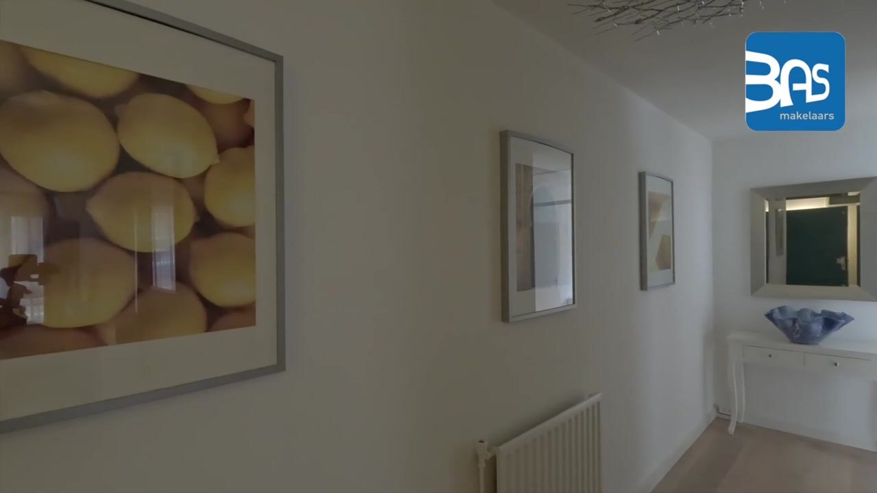 Video van Hartingstraat 194