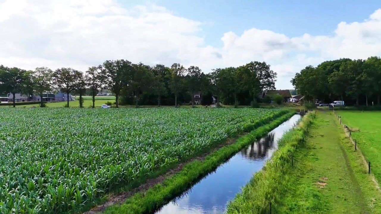 Video van de Leiding 19