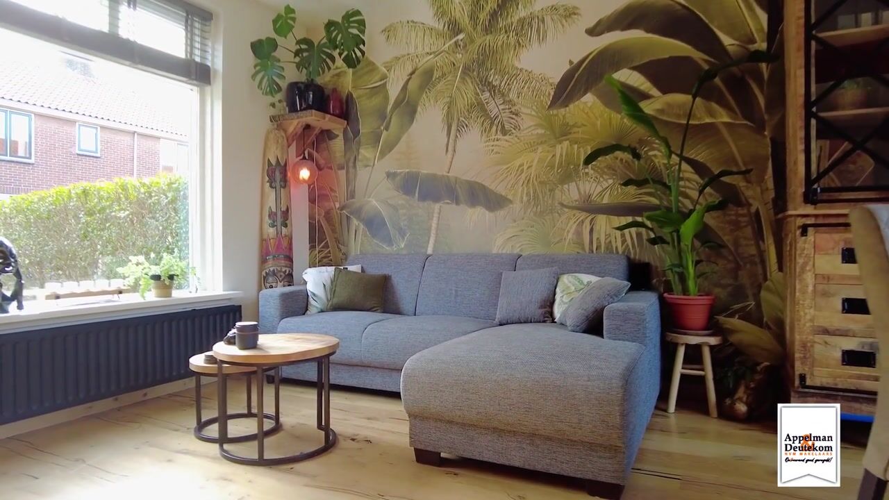 Video van Jan Bijlstraat 15