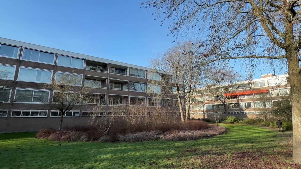 Video van Wildenborch 15