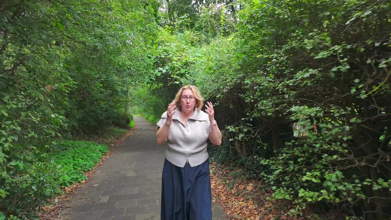 Video van Insulindeweg 866