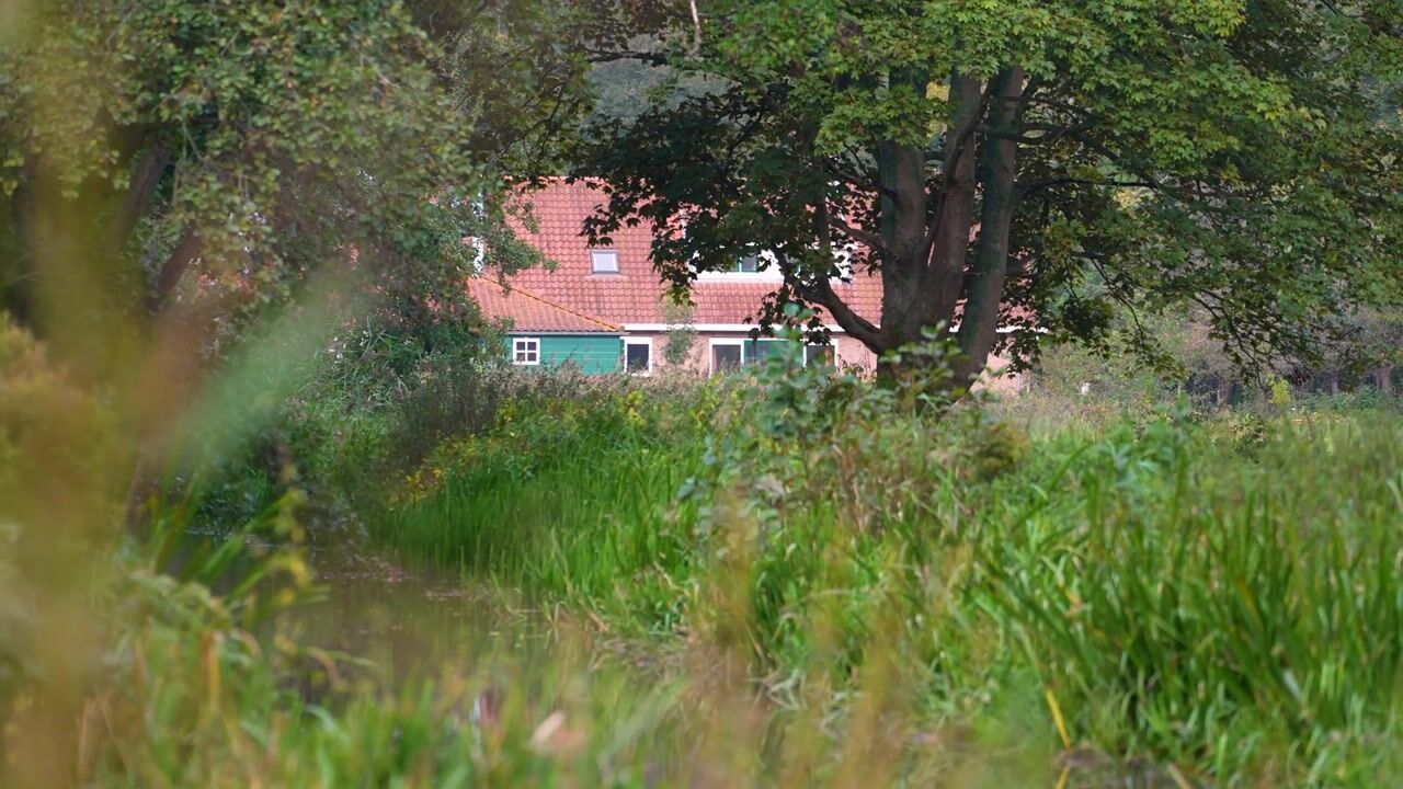 Video of Bloemendaalseweg 177