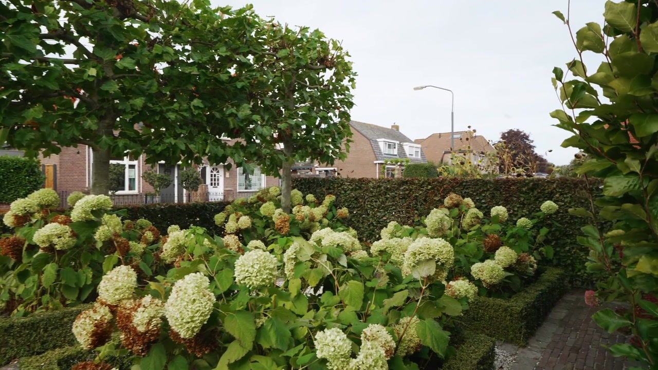 Video van Korte Nieuwstraat 27