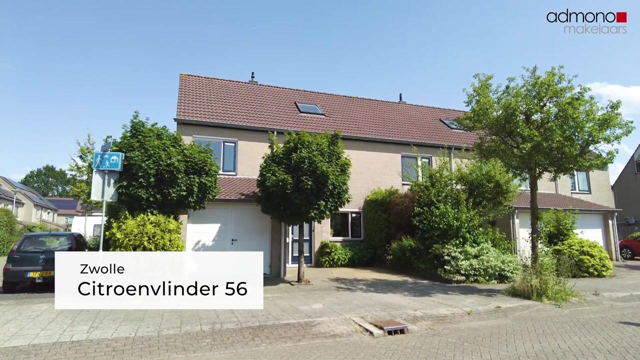 Video van Citroenvlinder 56