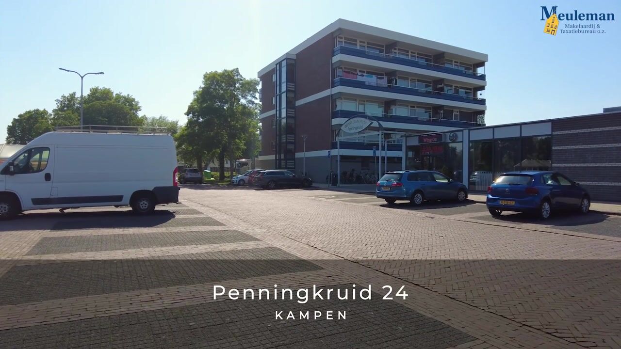 Video of Penningkruid 24