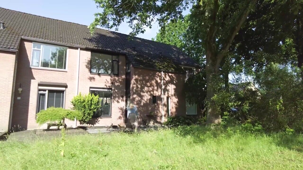 Video van De Wierse 17