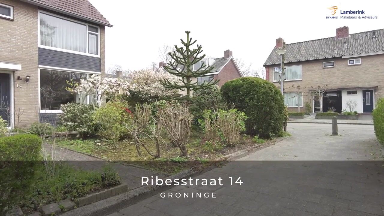 Video van Ribesstraat 14