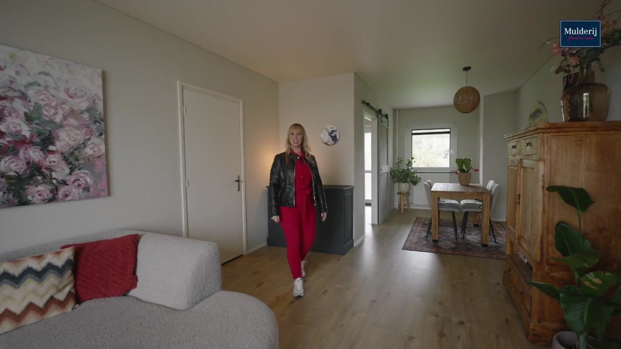 Video van Henri Dunantlaan 243