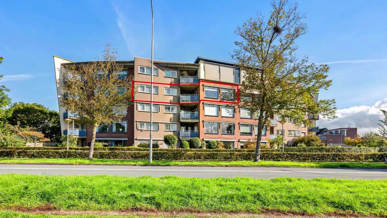 Video van Regenwulp 27