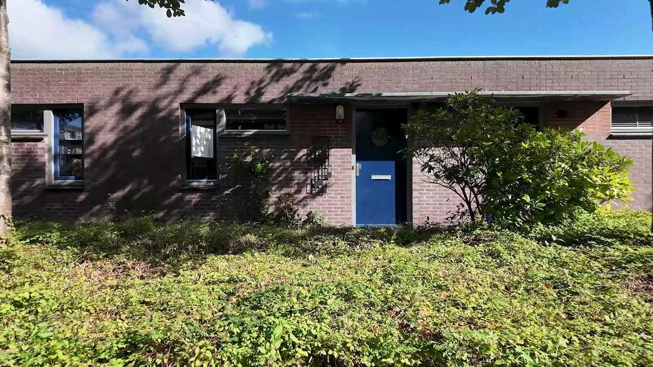 Video van Bezettingslaan 31