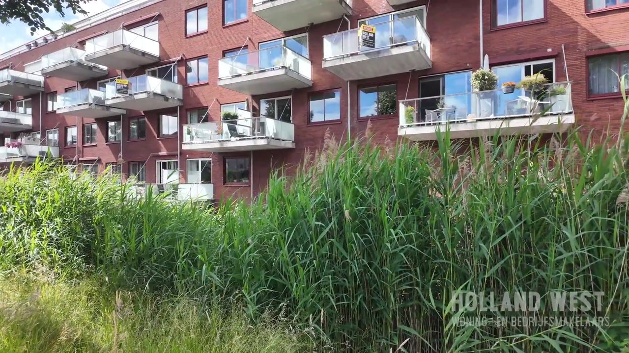 Video van Pegasusstraat 218