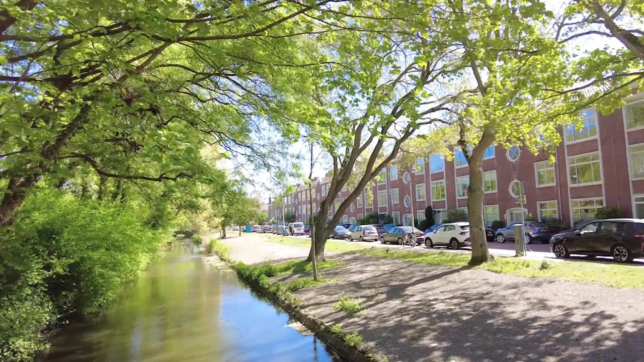 Video van Aronskelkweg 258