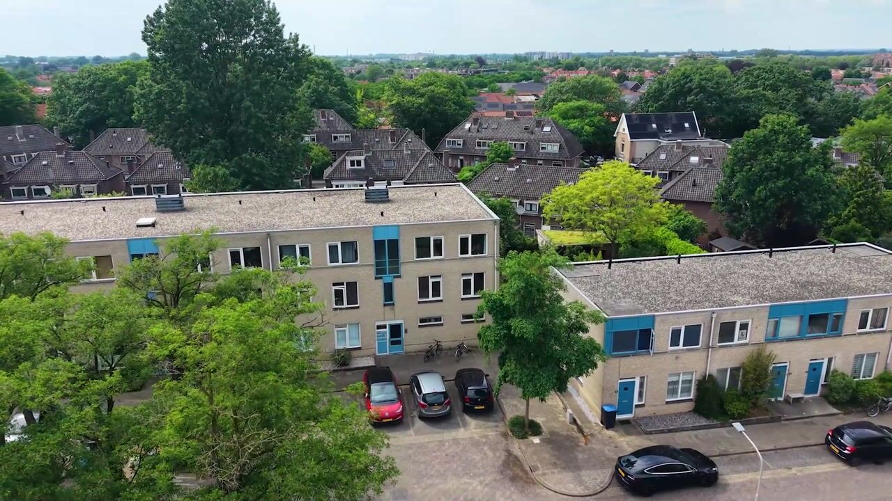 Video of Ridderspoor 51