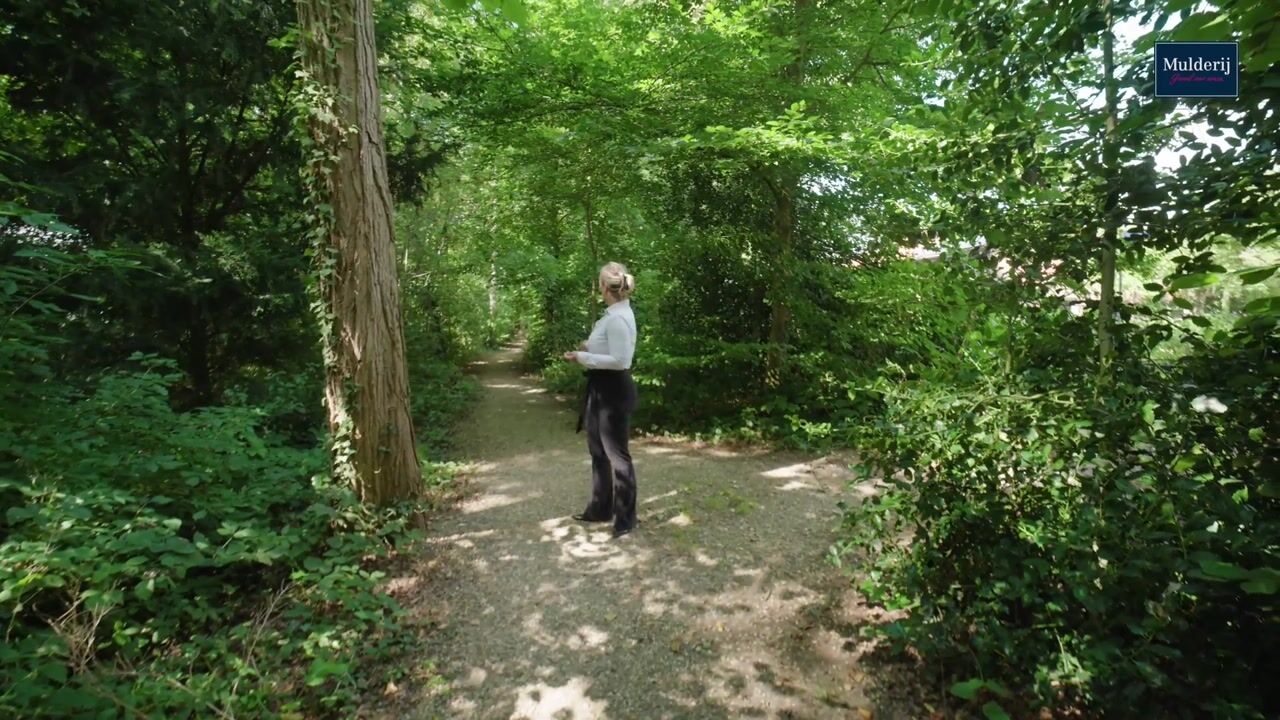 Video van Strausslaan 81