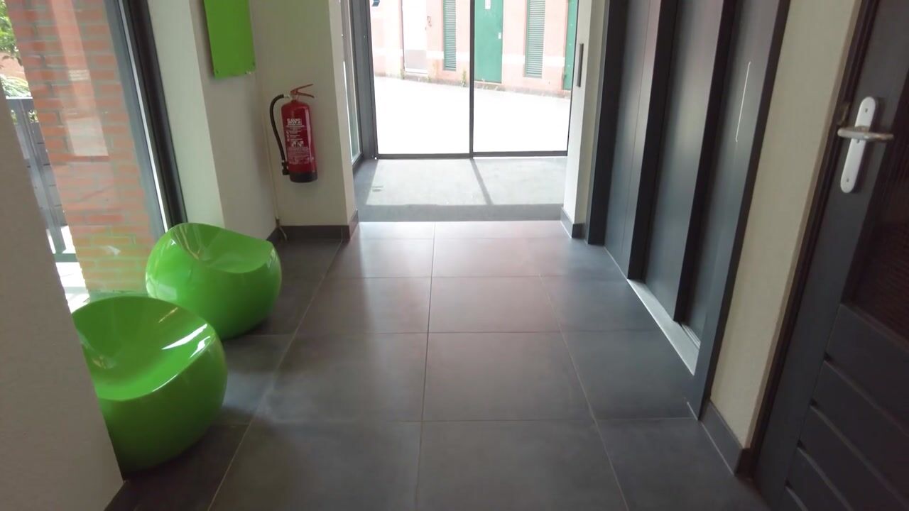 Video van Arendshof 387