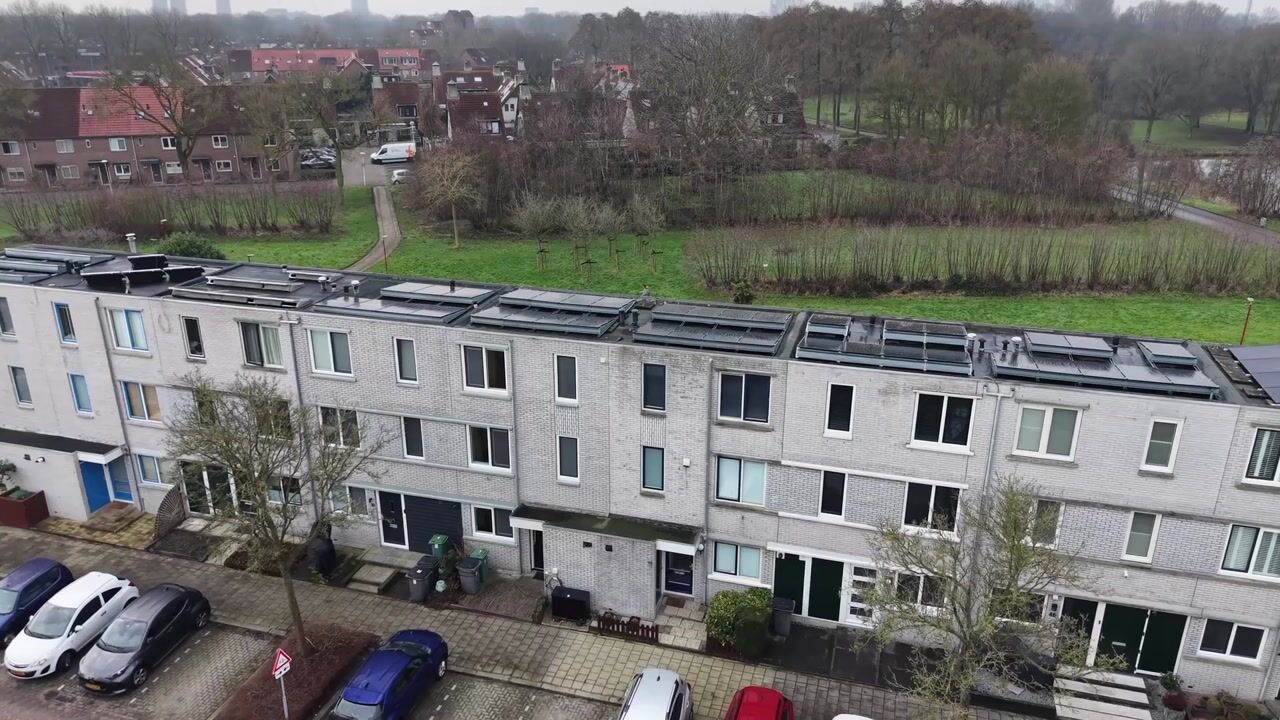 Video van Ponyweide 40