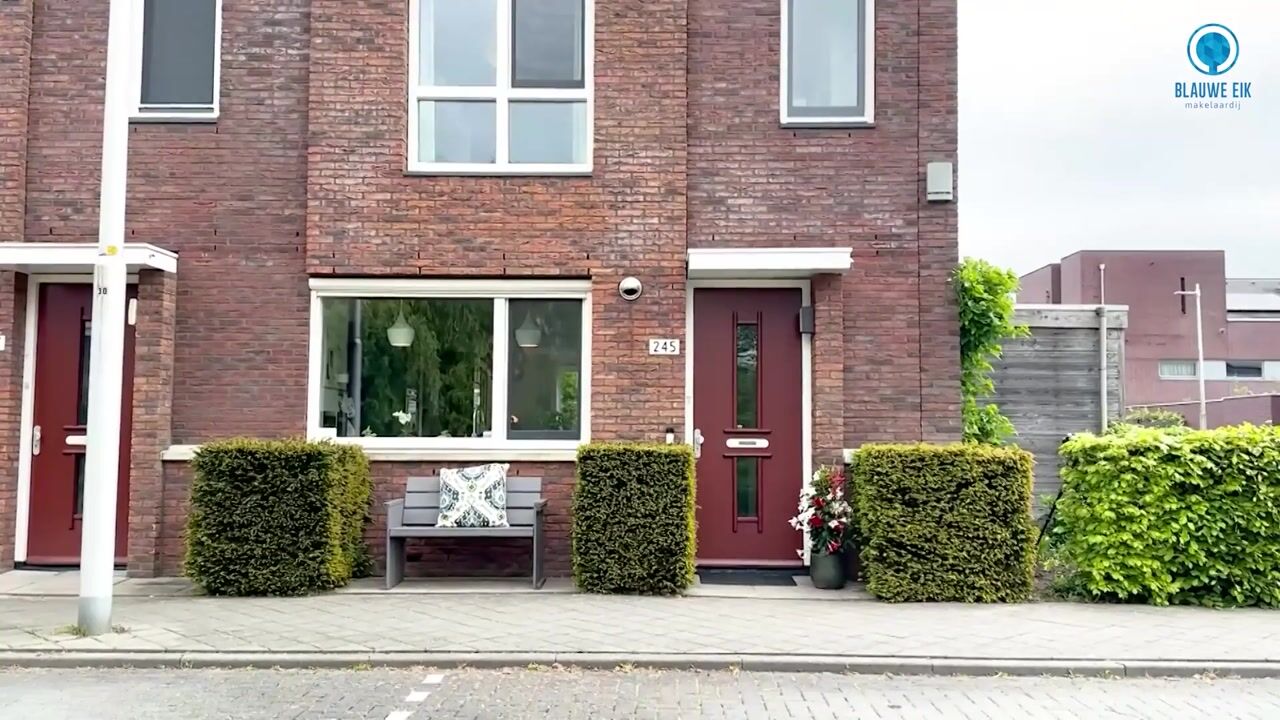 Video van Vlindersingel 245