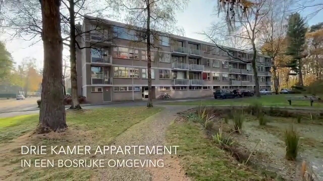 Video van Kasteel Nijenrodestraat 193