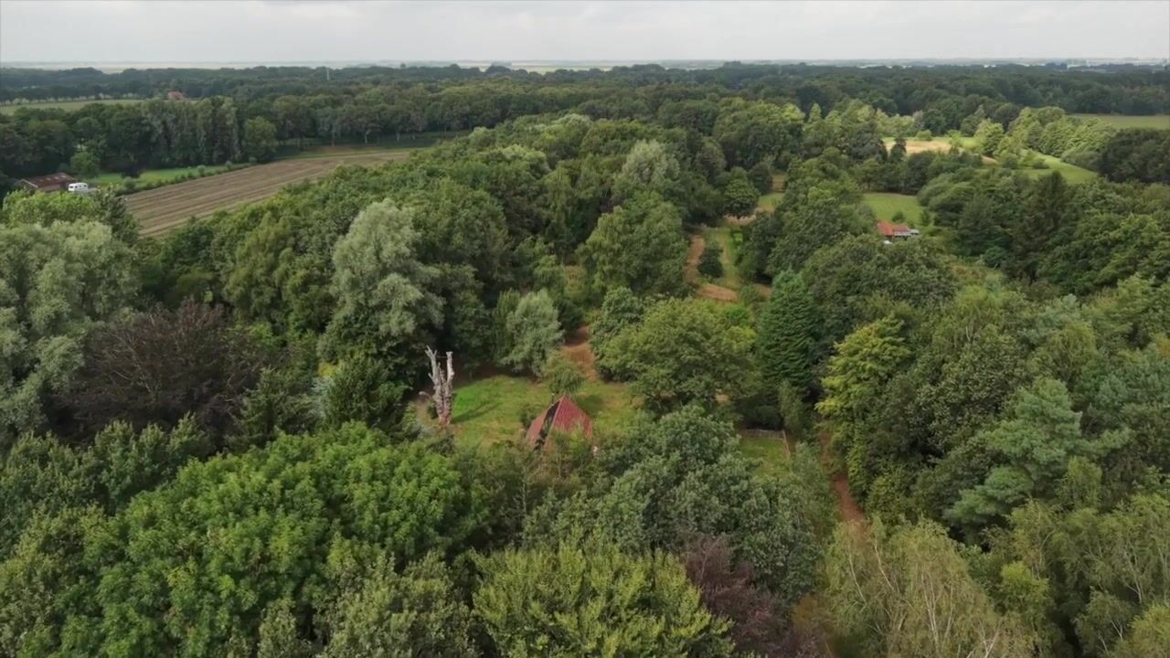 Video van Oudelaan 5