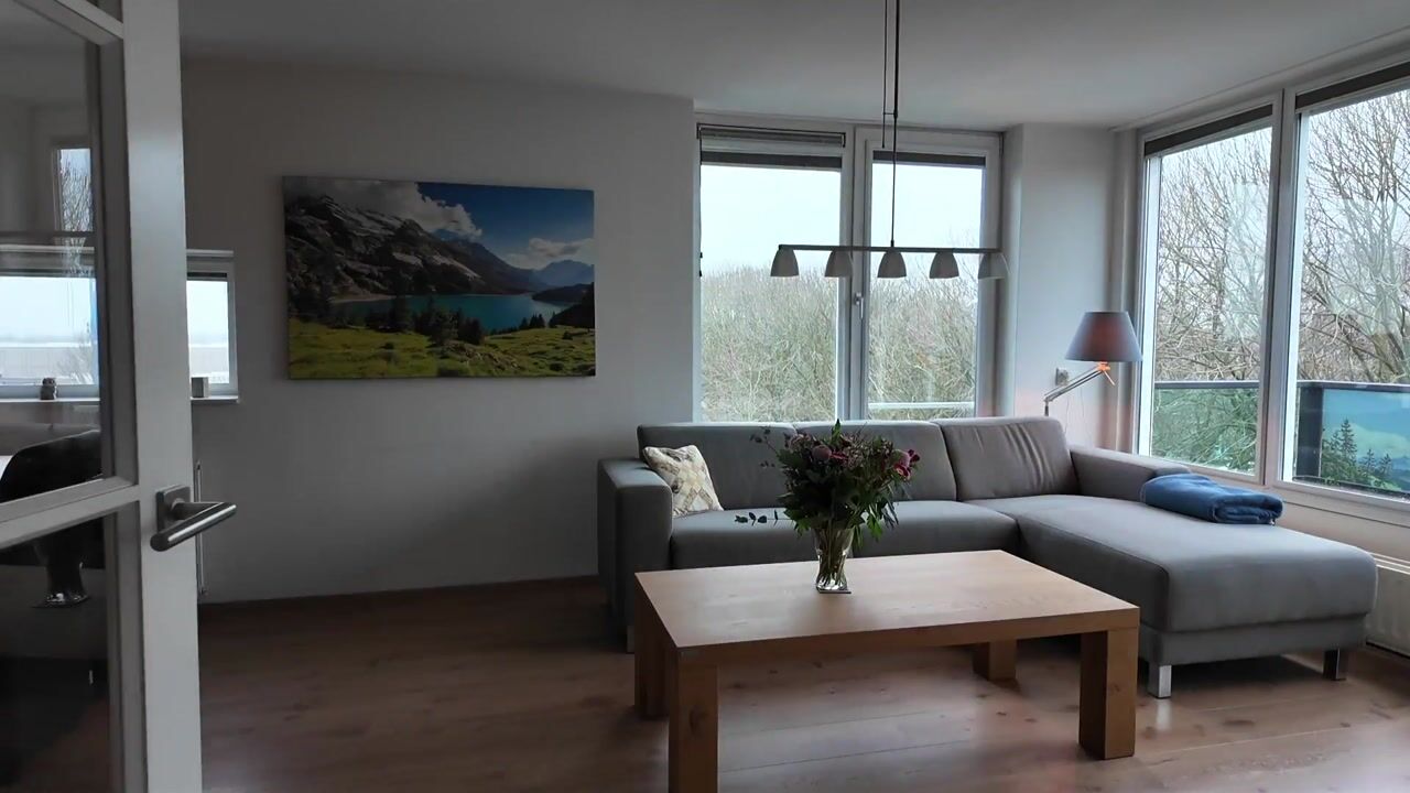 Video van Weegbree 67